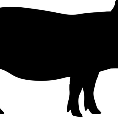 Pig   Clipart 1 Thumbnail