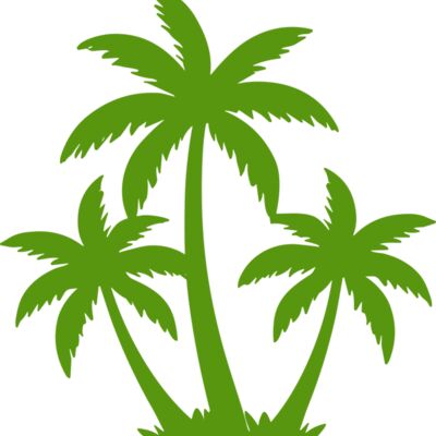 Coconut Tree Thumbnail